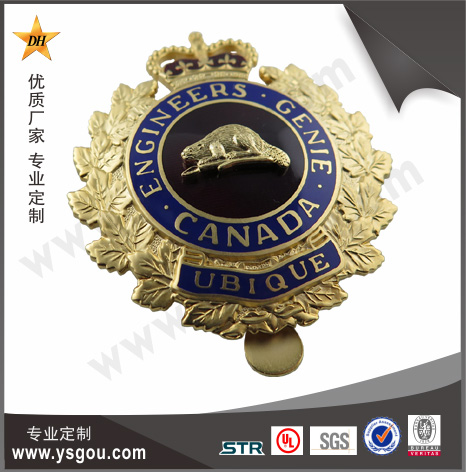 銅質(zhì)仿琺瑯金屬帽徽.jpg