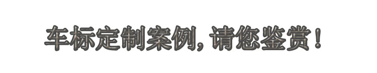 車標定制案例.jpg