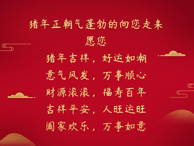 豬年正朝氣蓬勃的向您走來.jpg
